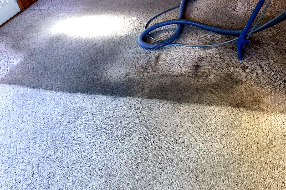 tillers-carpet-result-1